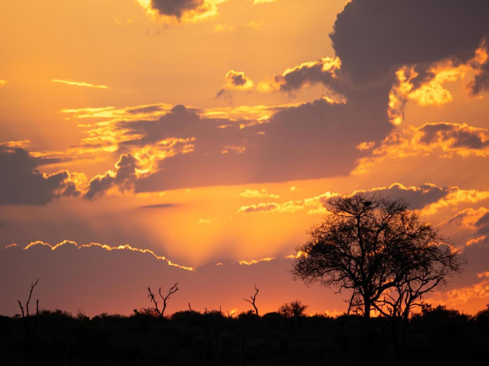 Grace Of Africa, Couples 5 Star Nature Lodge Marloth Park Exterior photo